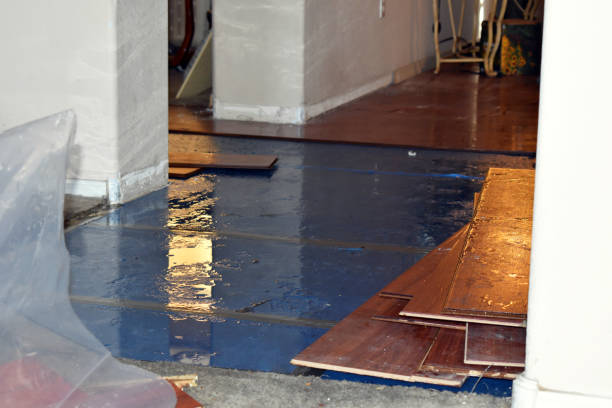 Professional Water Extraction technician working in Zirconia, NC